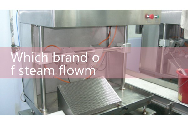 Steam flowmeter factory